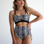 Classic Animal Prints Set (Python)